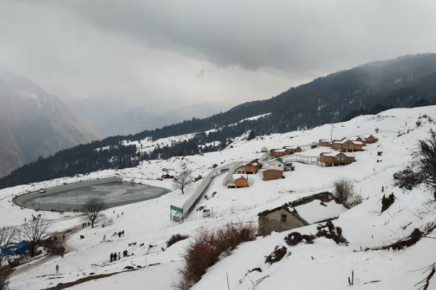 Auli