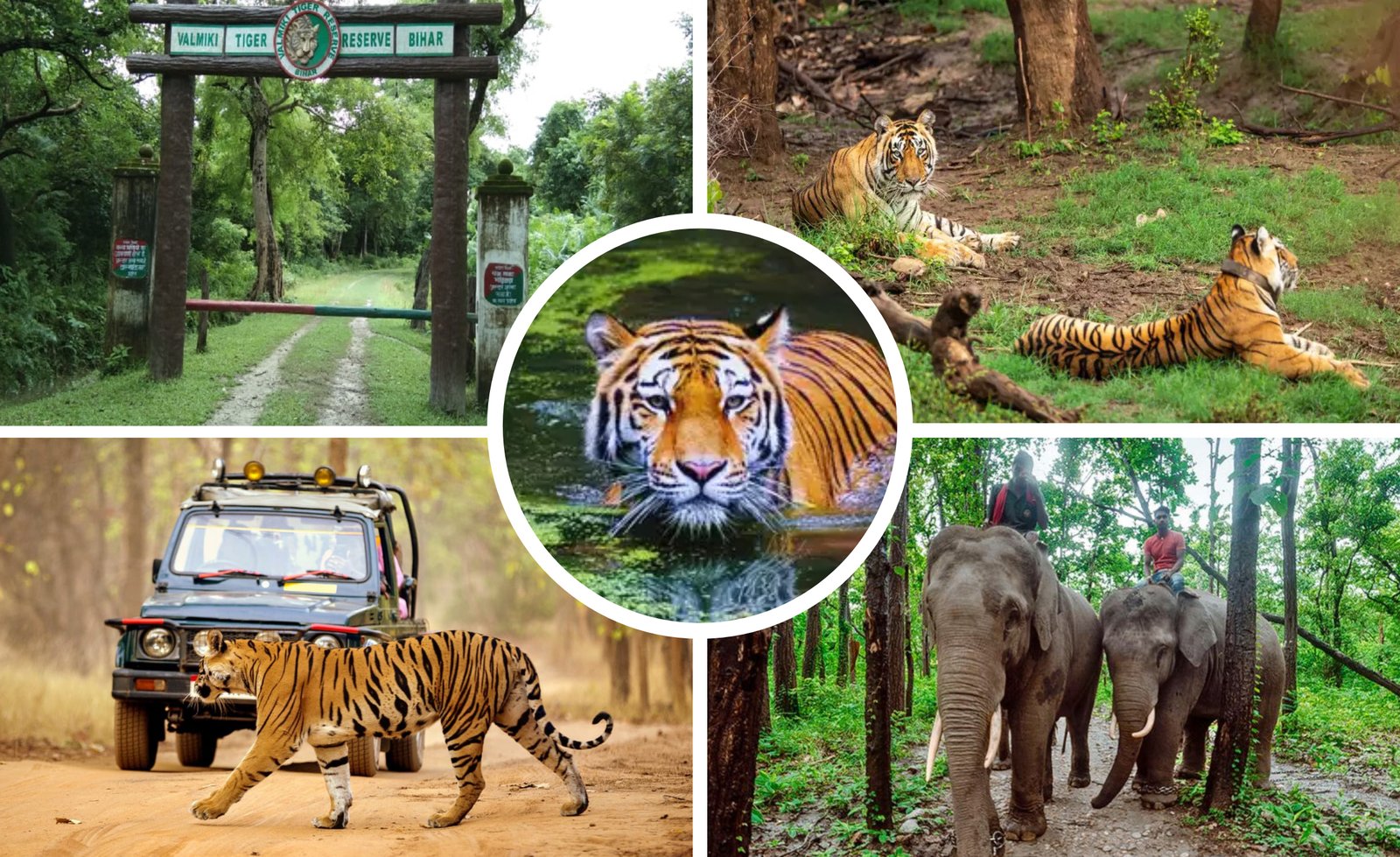 Wildlife & Nature Tour