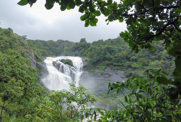 Coorg
