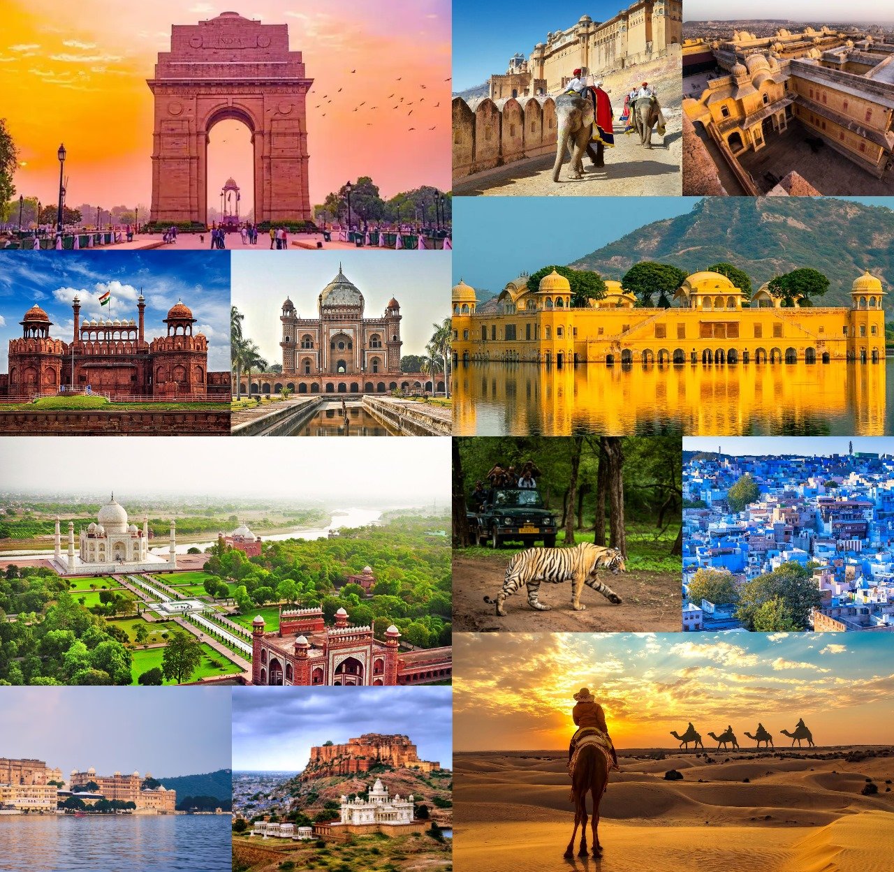 Domestic Tours