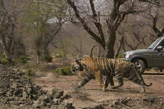 Mukundara Hills National Park