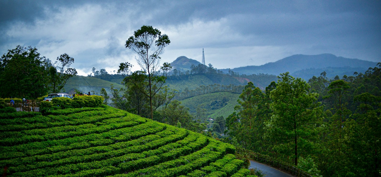 Munnar - Tea Gardens & Hill Station