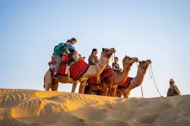 Desert Safari