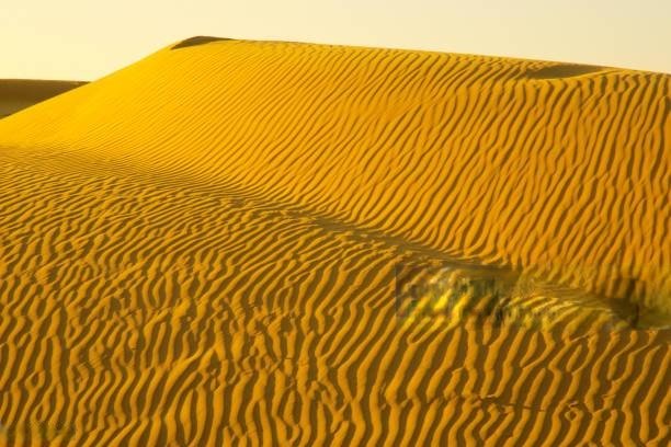 Sam Sand Dunes