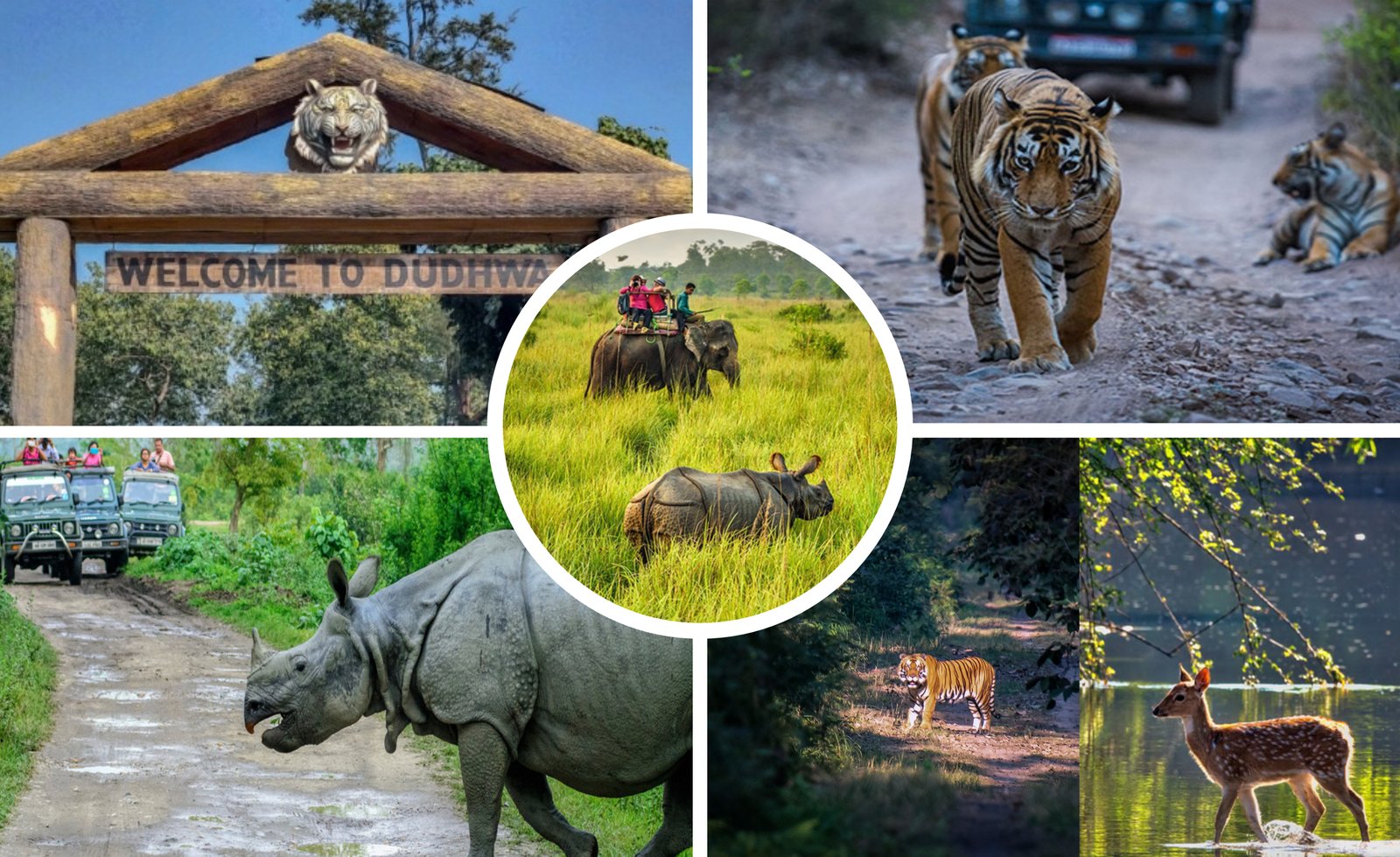 Wildlife & Nature Tour